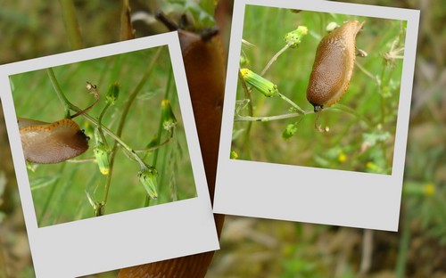 Image hébergée par Casimages.com : votre hébergeur d images simple et gratuit