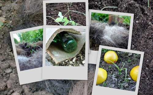 Image hébergée par Casimages.com : votre hébergeur d images simple et gratuit
