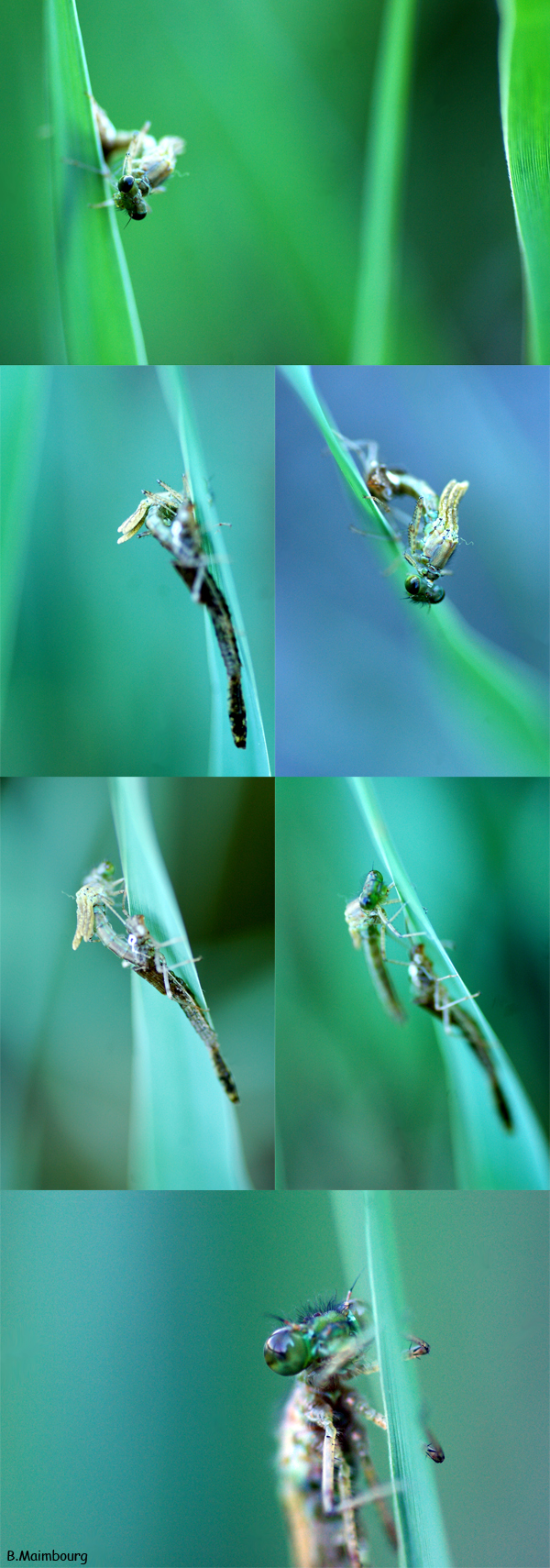 Image hébergée par Casimages.com : votre hébergeur d images simple et gratuit
