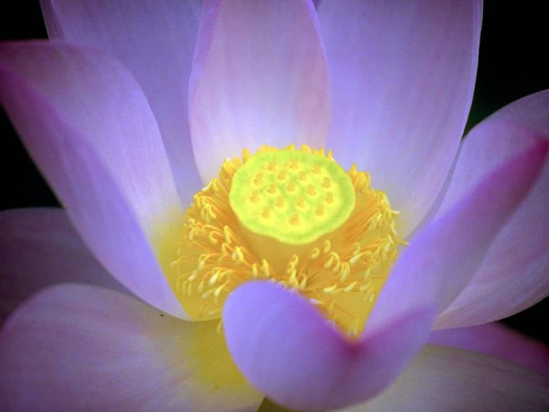 Image hébergée par Casimages.com : votre hébergeur d images simple et gratuit