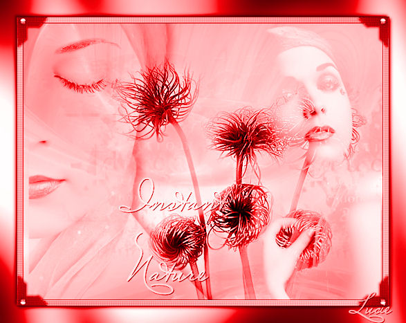 Image hberge par Casimages.com : votre hbergeur d images simple
et gratuit