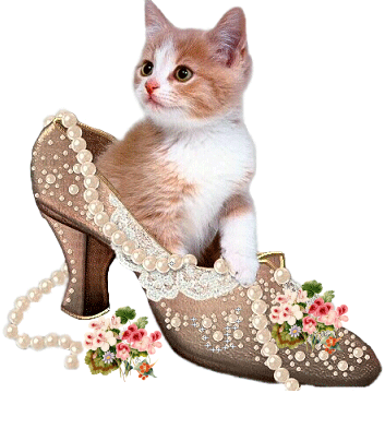 Image hébergée par Casimages.com : votre hébergeur d images simple et gratuit