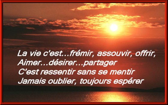 voir l'image en taille r&eacute;elle