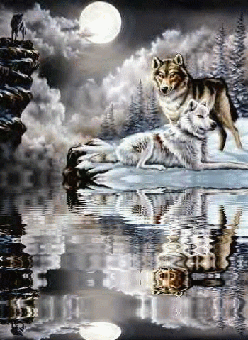 Image hébergée par Casimages.com : votre hébergeur d images simple et gratuit