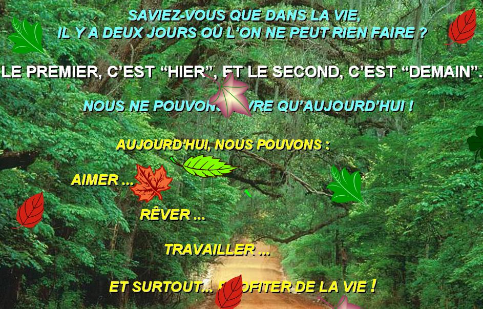 Image hébergée par Casimages.com : votre hébergeur d images simple et gratuit