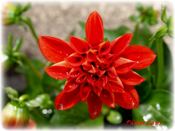 Image hébergée par Casimages.com : votre hébergeur d images simple et gratuit