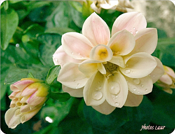 Image hébergée par Casimages.com : votre hébergeur d images simple et gratuit