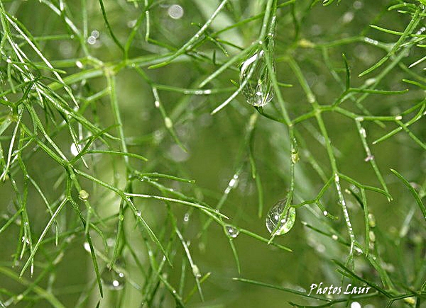 Image hébergée par Casimages.com : votre hébergeur d images simple et gratuit