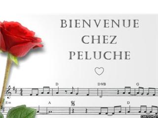 Image h�berg�e par Casimages.com : votre h�bergeur d images simple et gratuit