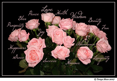 Image hébergée par Casimages.com : votre hébergeur d images simple et gratuit