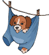 Image hébergée par Casimages.com : votre hébergeur d images simple et gratuit