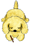 Image hébergée par Casimages.com : votre hébergeur d images simple et gratuit