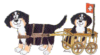 Image h�berg�e par Casimages.com : votre h�bergeur d images simple et gratuit