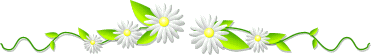 Image h�berg�e par Casimages.com : votre h�bergeur d images simple et gratuit