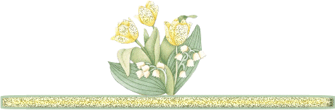Image h�berg�e par Casimages.com : votre h�bergeur d images simple et gratuit