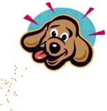 Image h�berg�e par Casimages.com : votre h�bergeur d images simple et gratuit