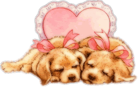 Image h�berg�e par Casimages.com : votre h�bergeur d images simple et gratuit