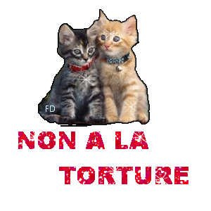 Image h�berg�e par Casimages.com : votre h�bergeur d images simple et gratuit