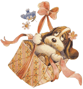 Image h�berg�e par Casimages.com : votre h�bergeur d images simple et gratuit