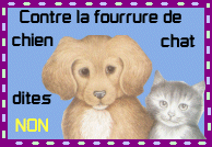 Image h�berg�e par Casimages.com : votre h�bergeur d images simple et gratuit