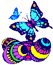 Image h�berg�e par Casimages.com : votre h�bergeur d images simple et gratuit