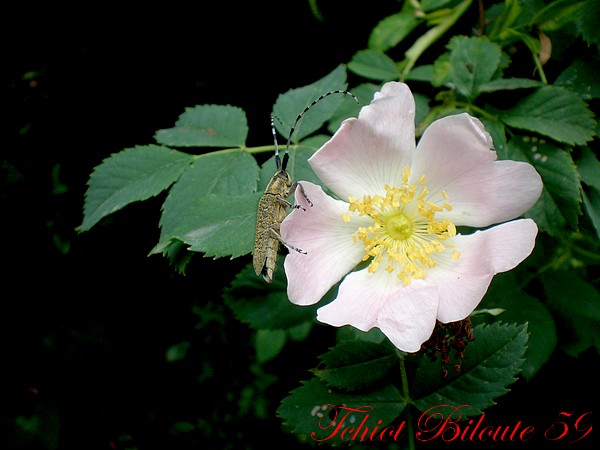 Image hébergée par Casimages.com : votre hébergeur d images simple et gratuit
