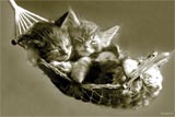 Image hébergée par Casimages.com : votre hébergeur d images simple et gratuit