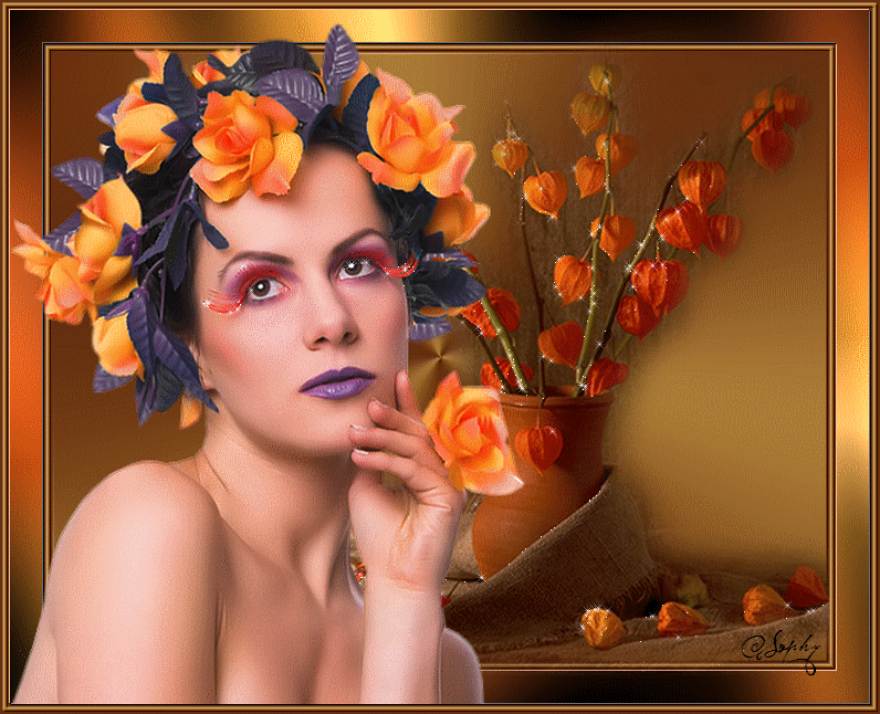 Image h�berg�e par Casimages.com : votre h�bergeur d images simple et gratuit