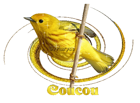 Image hébergée par Casimages.com : votre hébergeur d images simple et gratuit