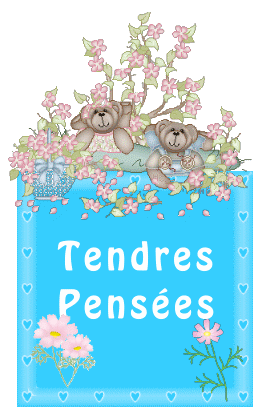Image h�berg�e par Casimages.com : votre h�bergeur d images simple et gratuit