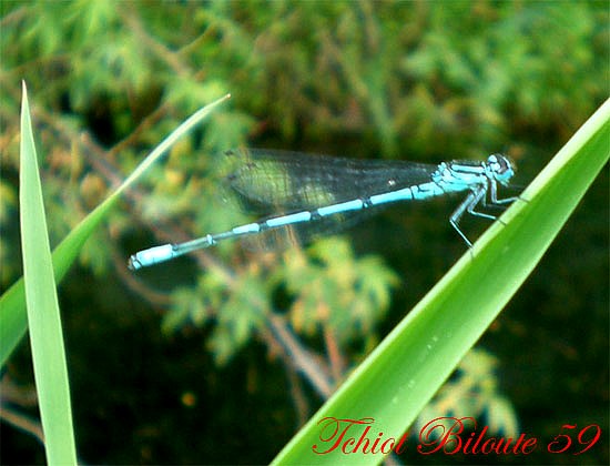 Image hébergée par Casimages.com : votre hébergeur d images simple et gratuit
