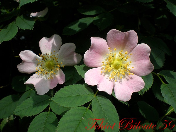 Image hébergée par Casimages.com : votre hébergeur d images simple et gratuit