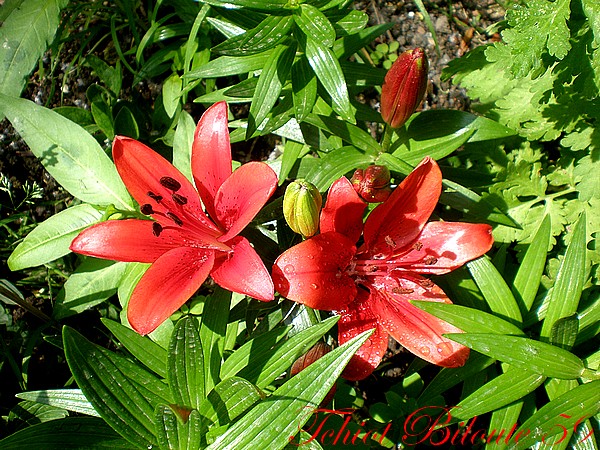 Image hébergée par Casimages.com : votre hébergeur d images simple et gratuit