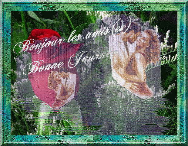 voir l'image en taille réelle