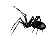 Image hébergée par Casimages.com : votre hébergeur d images simple et gratuit