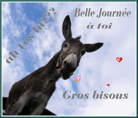 Image hébergée par Casimages.com : votre hébergeur d images simple et gratuit