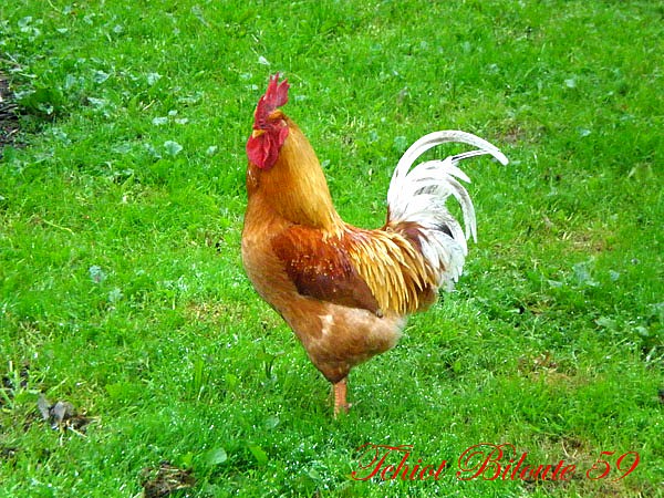 Image hébergée par Casimages.com : votre hébergeur d images simple et gratuit