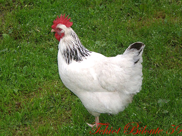 Image hébergée par Casimages.com : votre hébergeur d images simple et gratuit