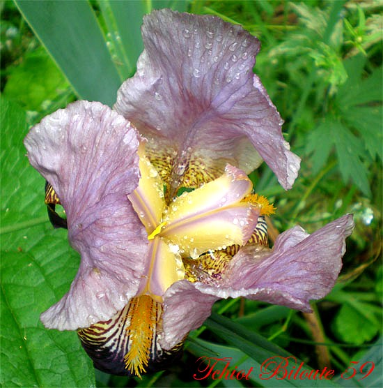 Image hébergée par Casimages.com : votre hébergeur d images simple et gratuit