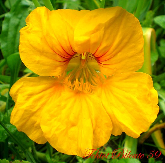 Image hébergée par Casimages.com : votre hébergeur d images simple et gratuit