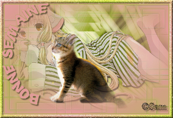 Image hébergée par Casimages.com : votre hébergeur d images simple et gratuit