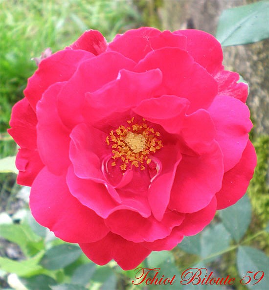 Image hébergée par Casimages.com : votre hébergeur d images simple et gratuit