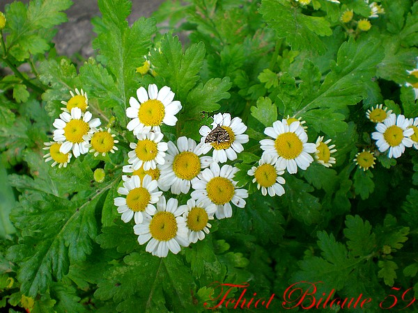 Image hébergée par Casimages.com : votre hébergeur d images simple et gratuit