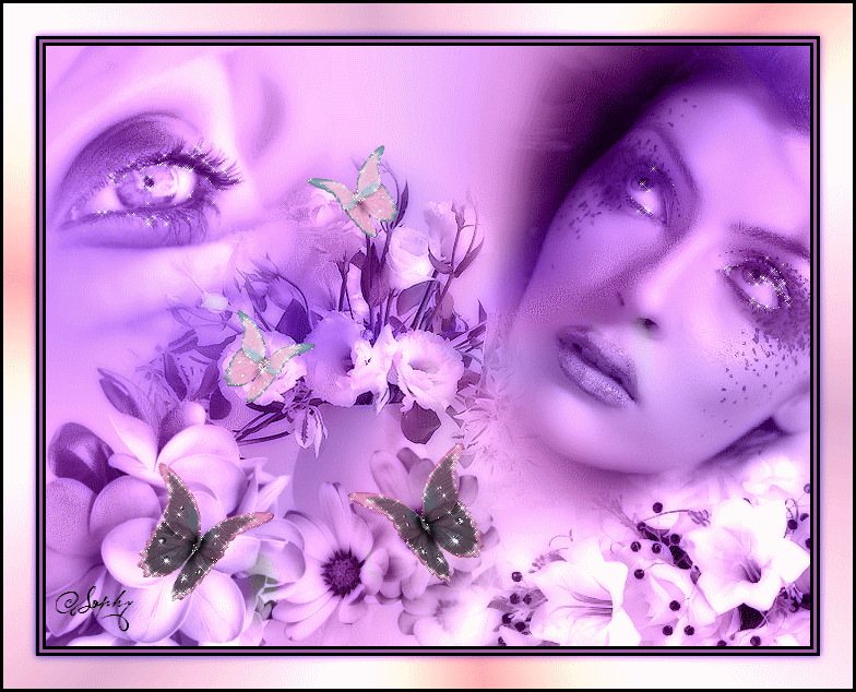 Image h�berg�e par Casimages.com : votre h�bergeur d images simple et gratuit