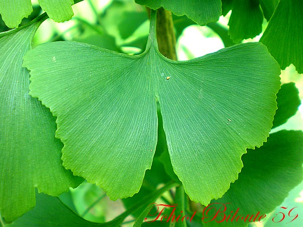 Image hébergée par Casimages.com : votre hébergeur d images simple et gratuit