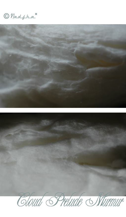 Image hébergée par Casimages.com : votre hébergeur d images simple et gratuit
