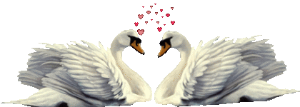 Image hébergée par Casimages.com : votre hébergeur d images simple et gratuit