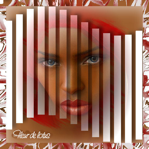 Image hébergée par Casimages.com : votre hébergeur d images simple et gratuit