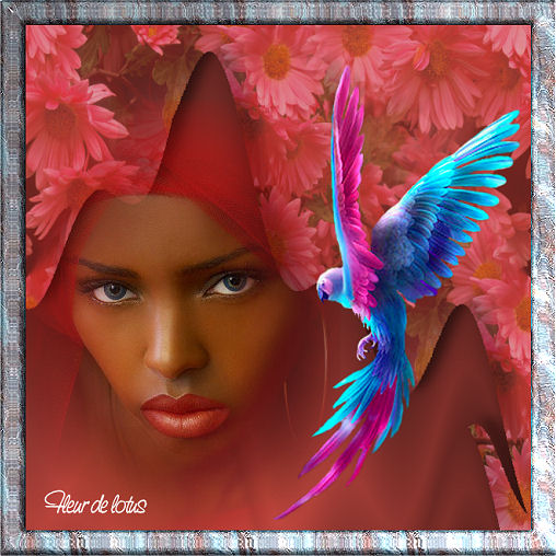 Image hébergée par Casimages.com : votre hébergeur d images simple et gratuit