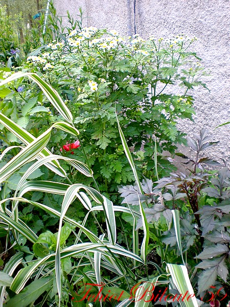 Image hébergée par Casimages.com : votre hébergeur d images simple et gratuit